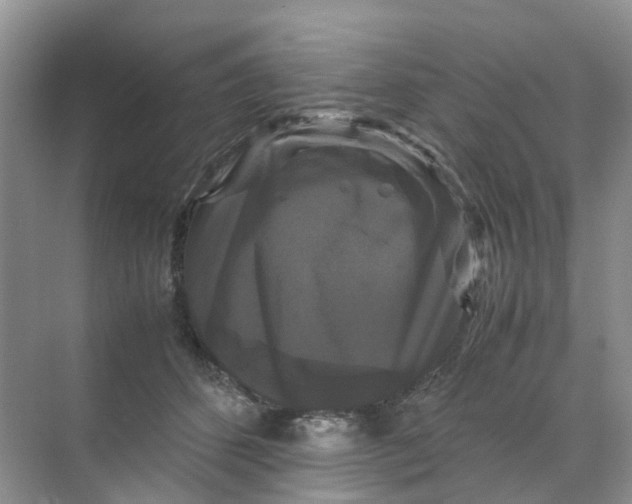 X0000070170512200606162059