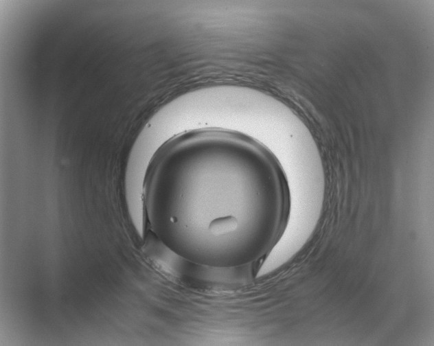 X0000070170513200606162059