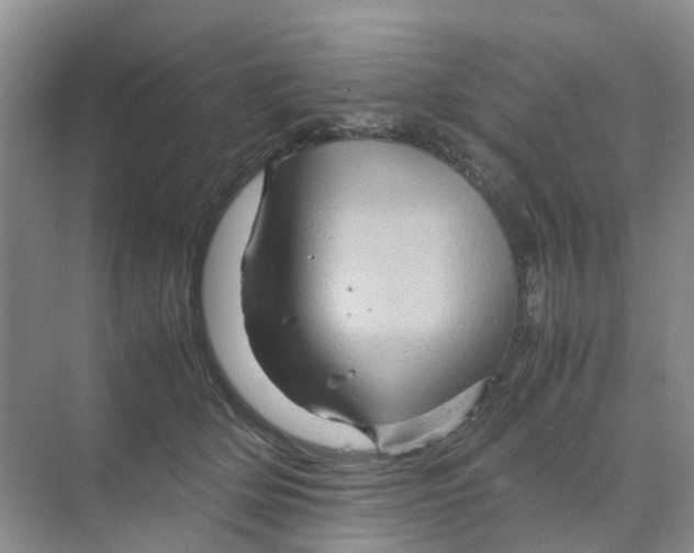 X0000070170514200606162059