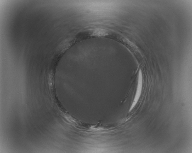 X0000070170517200606162059