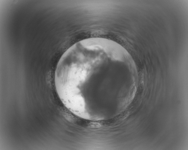 X0000070170519200606162059