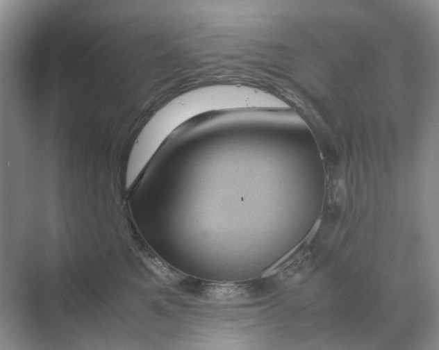 X0000070170521200606162059