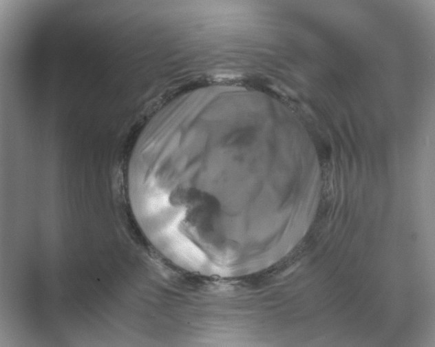 X0000070170523200606162059