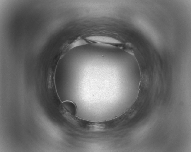 X0000070170525200606162059