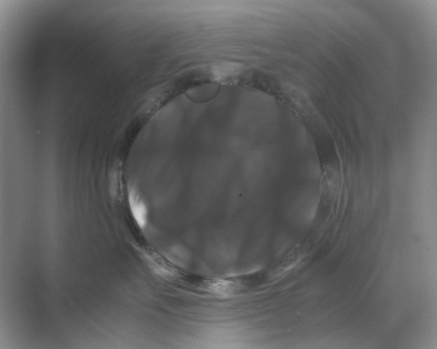 X0000070170527200606162059