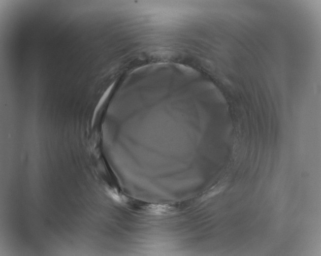 X0000070170528200606162059