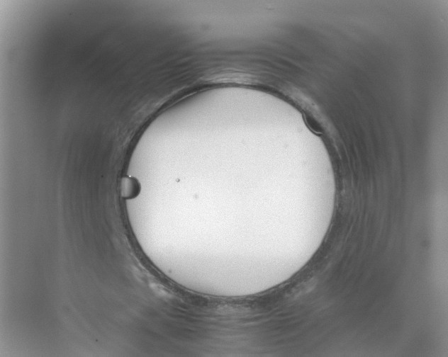 X0000070170529200606162058