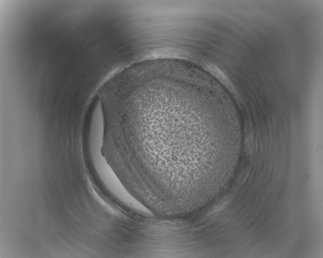 X0000070170530200606162058