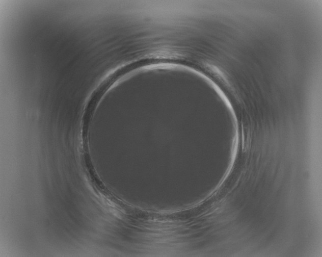 X0000070170531200606162058