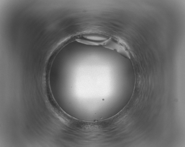 X0000070170535200606162058