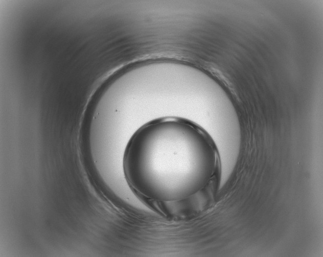 X0000070170536200606162058