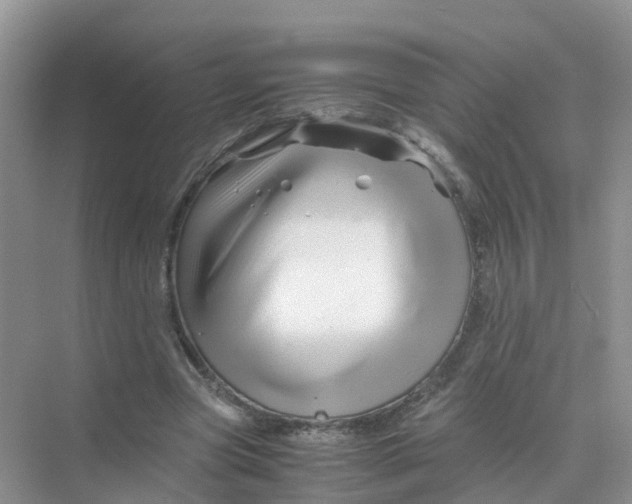 X0000070170537200606162058