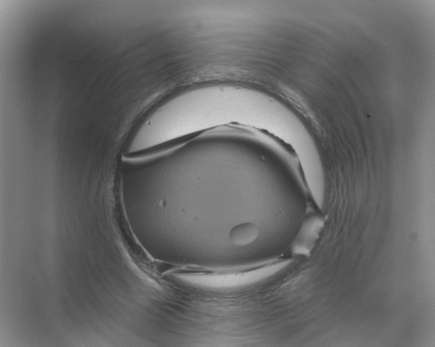 X0000070170538200606162058