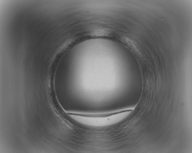 X0000070170539200606162058