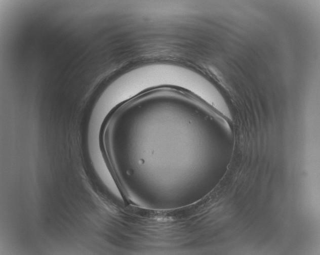 X0000070170543200606162058