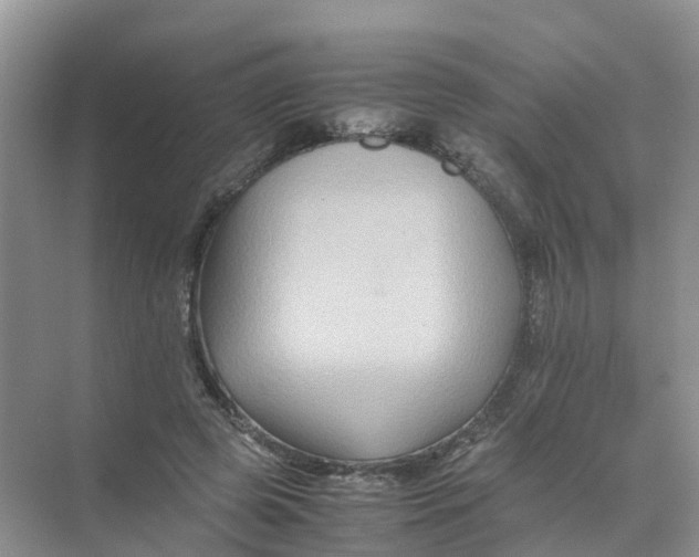 X0000070170545200606162058