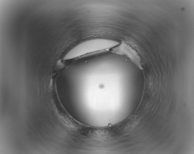 X0000070170546200606162058