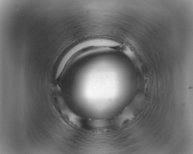 X0000070170548200606162059