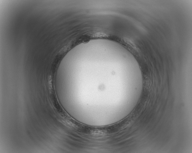 X0000070170549200606162059