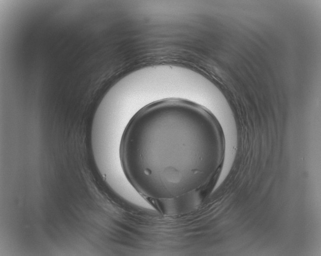 X0000070170551200606162059