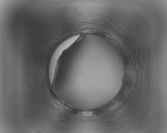 X0000070170554200606162059