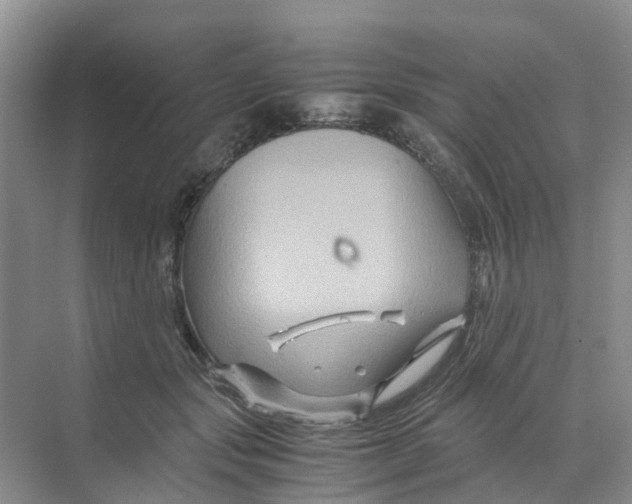 X0000070170557200606162059