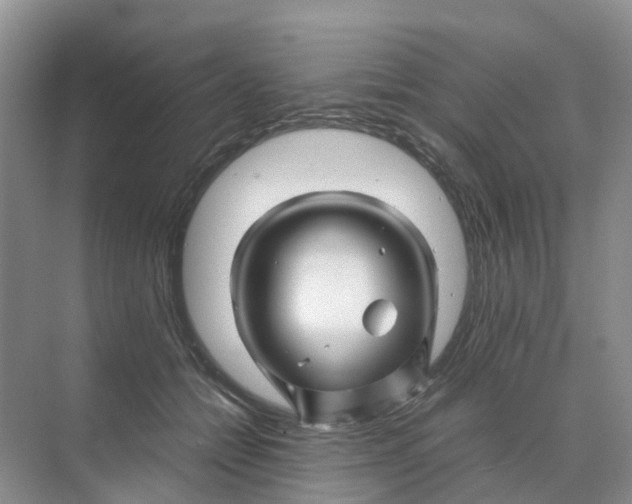 X0000070170558200606162059