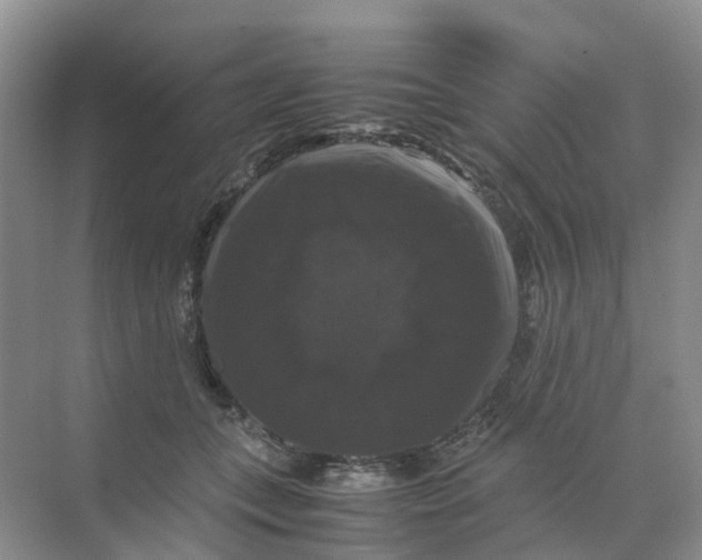 X0000070170559200606162059