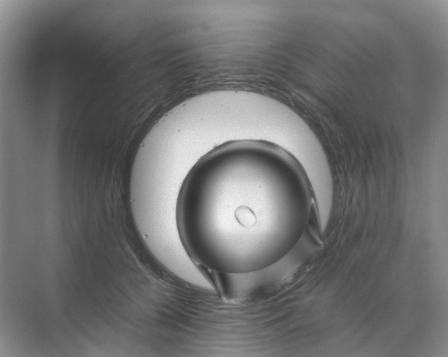 X0000070170560200606162059