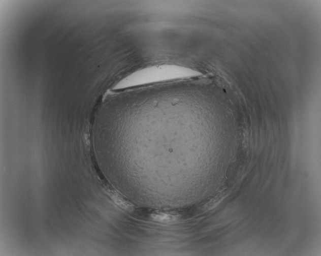 X0000070170561200606162059