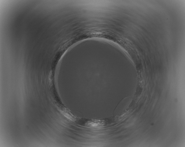 X0000070170563200606162059