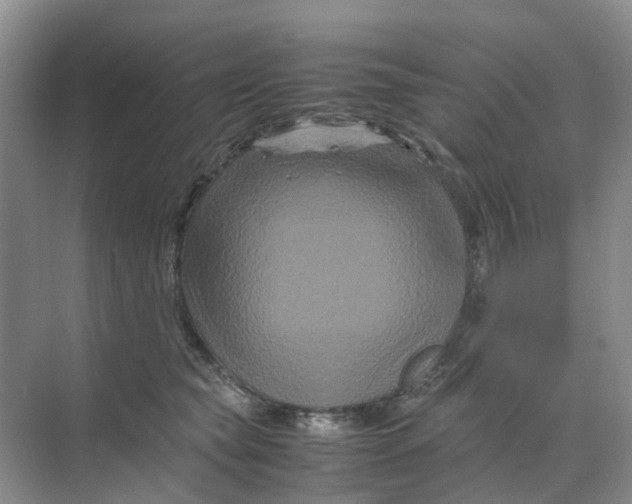 X0000070170565200606162059