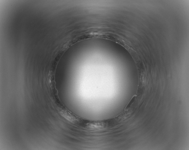 X0000070170567200606162059