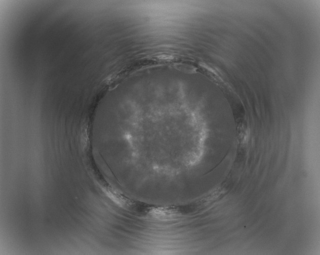 X0000070170568200606162059