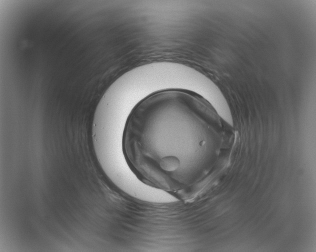 X0000070170570200606162059