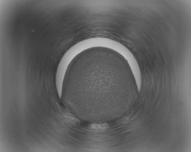 X0000070170571200606162059