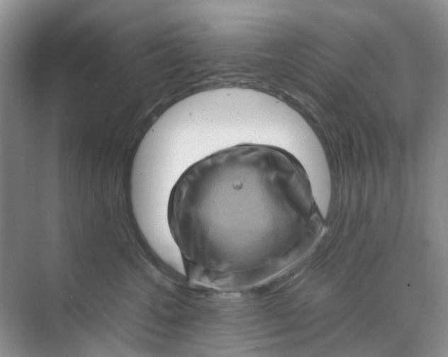 X0000070170572200606162059