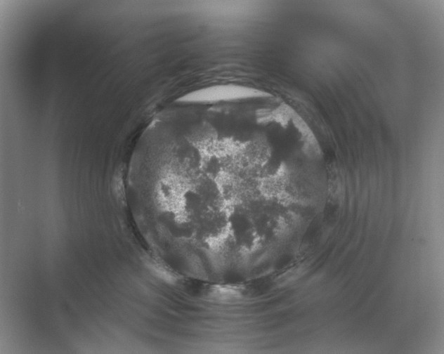 X0000070170573200606162059