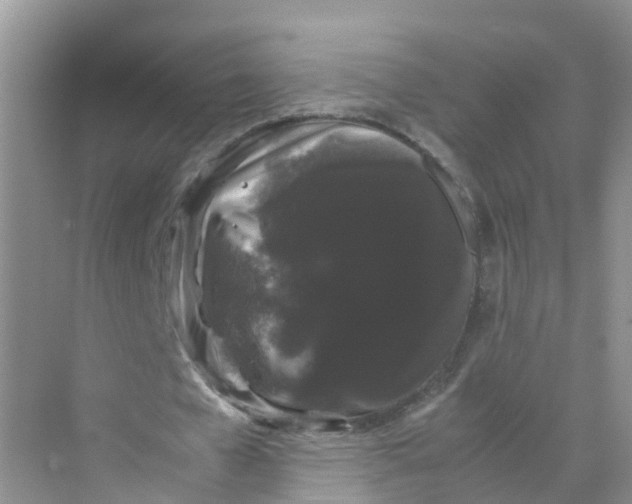 X0000070170577200606162058