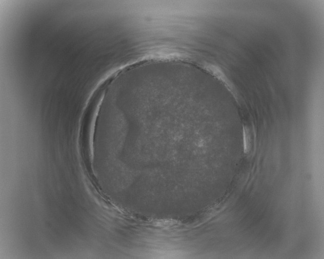 X0000070170579200606162058