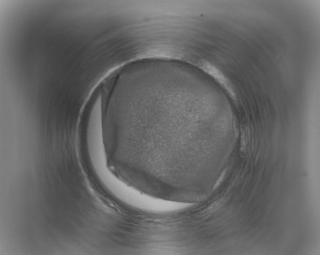 X0000070170580200606162058