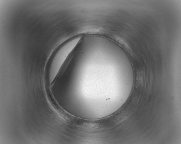 X0000070170582200606162058