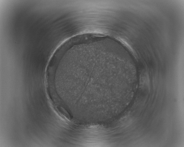 X0000070170584200606162058