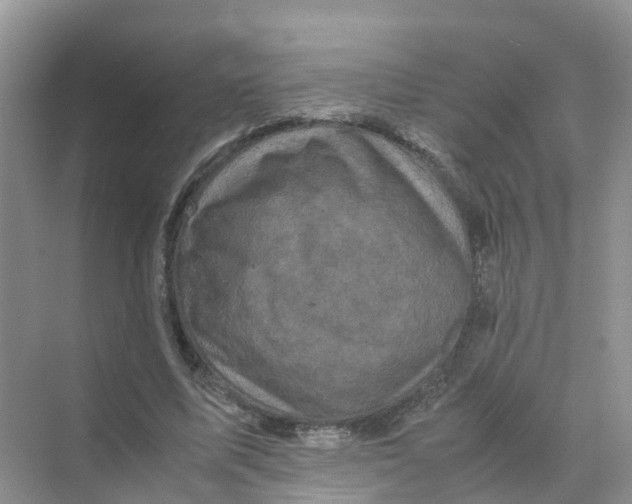 X0000070170587200606162058