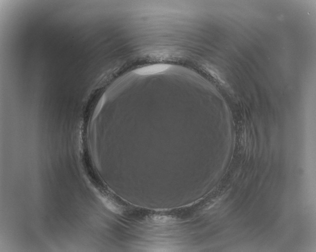 X0000070170590200606162058