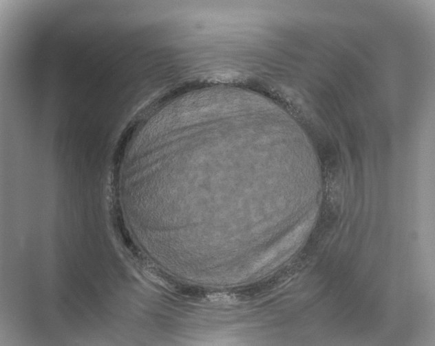 X0000070170591200606162058