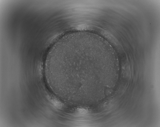 X0000070170592200606162058