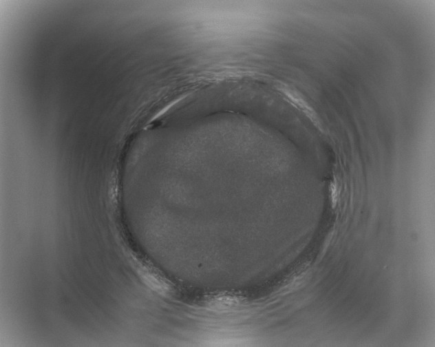 X0000070170593200606162058