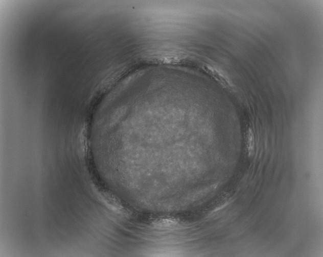 X0000070170594200606162058