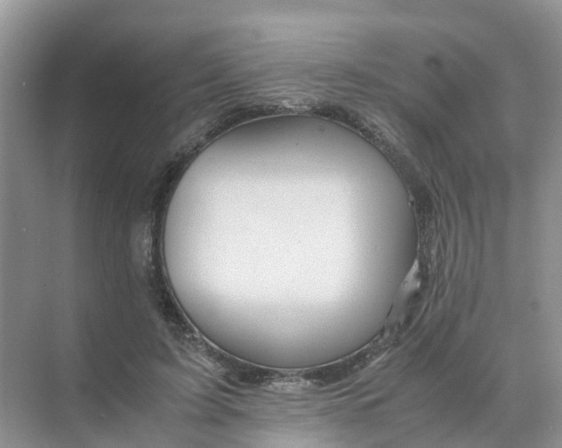 X0000070170595200606162058